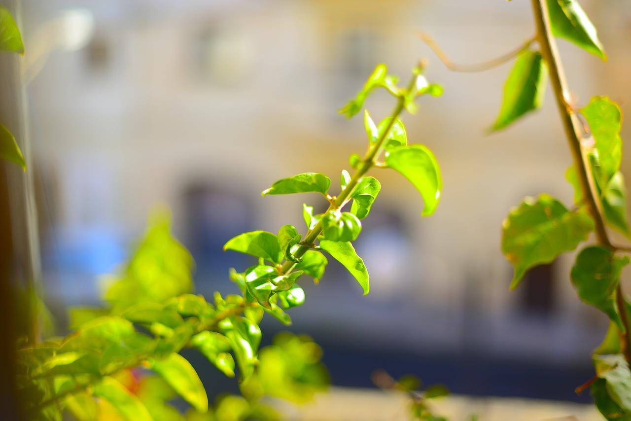 The Burrow Guest House Tarxien Exterior foto
